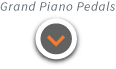 Grand Piano Pedals